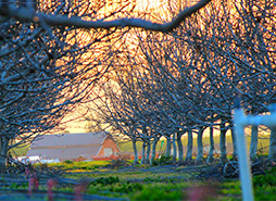 24小时不停呼叫软件