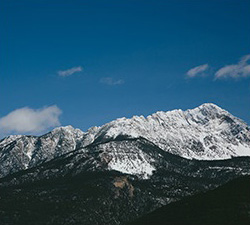 安全无毒可信的云拨电话app